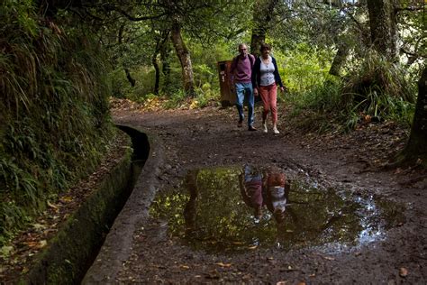 susana prada|Madeira Levadas await visit by UNESCO experts.